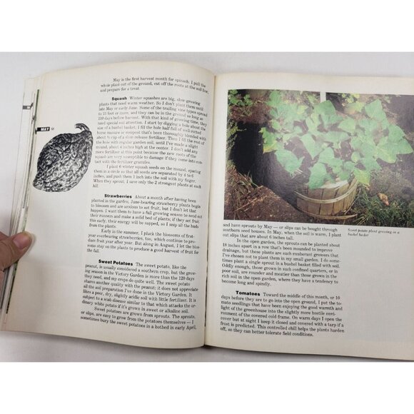 Crockett's Victory Garden by James Underwood Crockett ©1977 PBS Show B203 - Picture 8 of 8